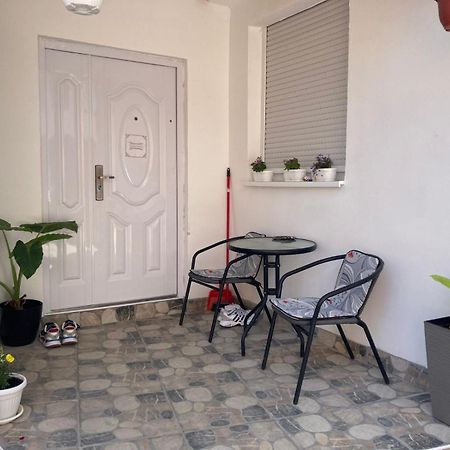 Apartment Dunja Center Welcome Nowy Sad Zewnętrze zdjęcie